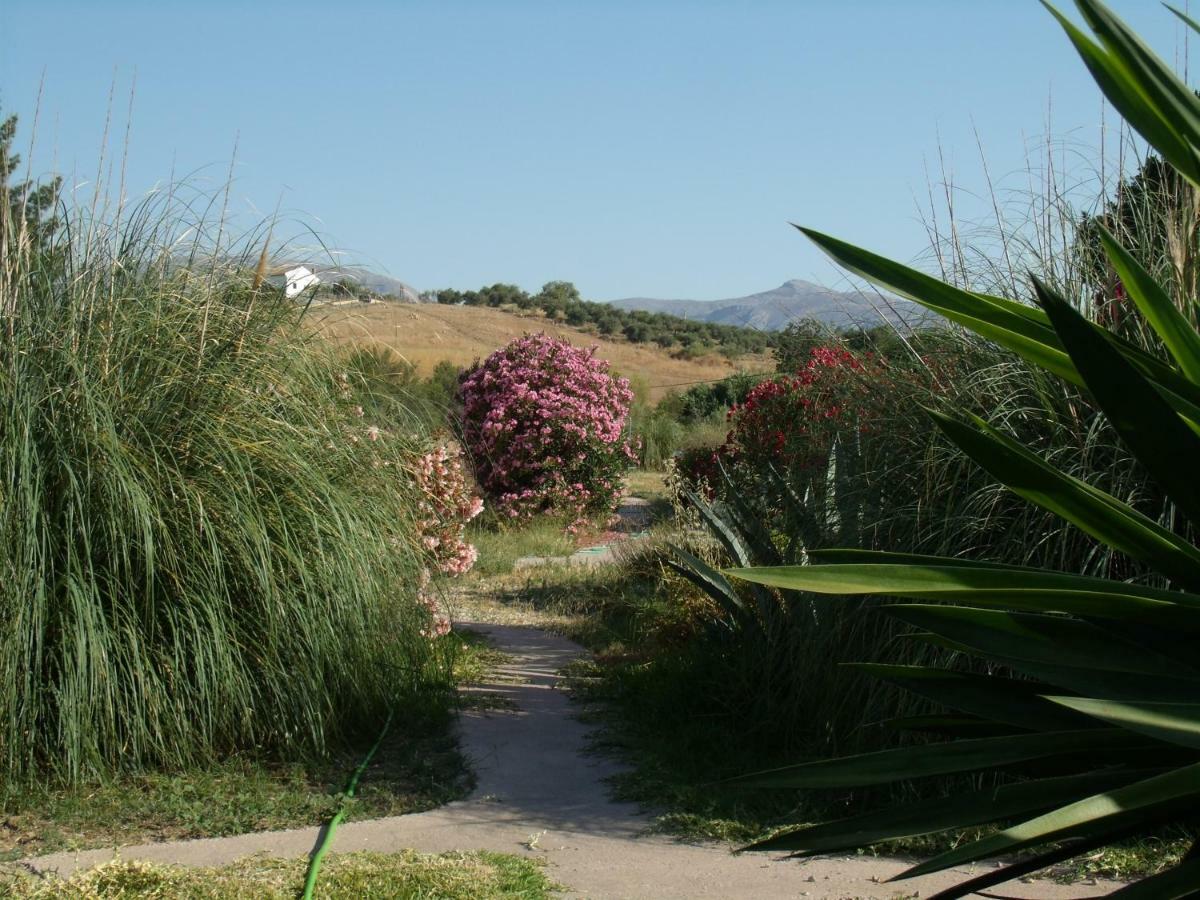 La Blanca *